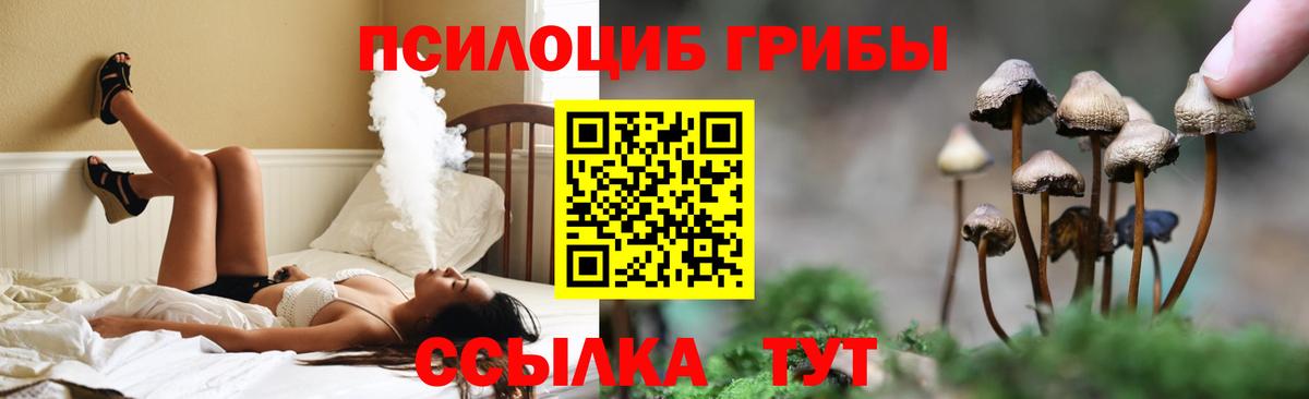 Белебей  Псилоцибиновые грибы Magic Shrooms  Вход с VPN 